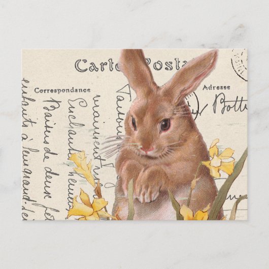 Briefkaart paasbunny Daffodil (Voorkant)