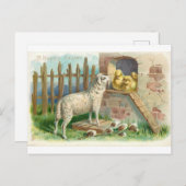 Briefkaart: Paaslammeren en kuikens Briefkaart (Voorkant / Achterkant)