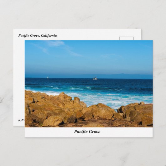 Briefkaart Pacifische Grove (Voorkant / Achterkant)