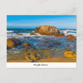 Briefkaart Pacifische Grove