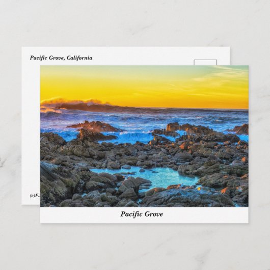 Briefkaart Pacifische Grove (Voorkant / Achterkant)