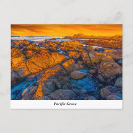Briefkaart Pacifische Grove