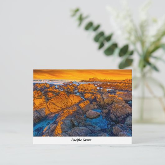 Briefkaart Pacifische Grove (Staand voorkant)