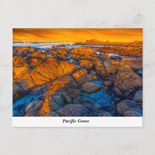 Briefkaart Pacifische Grove (Voorkant)