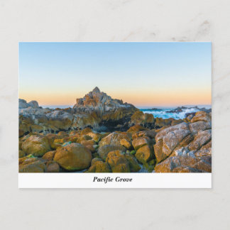 Briefkaart Pacifische Grove