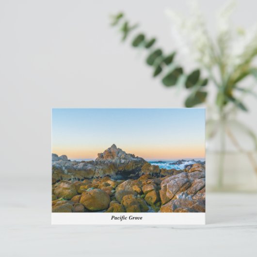 Briefkaart Pacifische Grove (Staand voorkant)