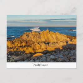 Briefkaart Pacifische Grove