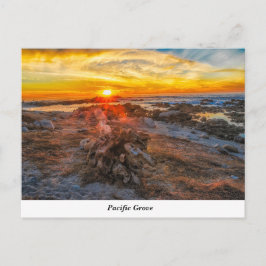 Briefkaart Pacifische Grove