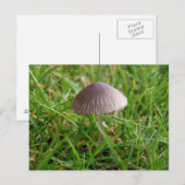 Briefkaart paddenstoel (Voorkant / Achterkant)