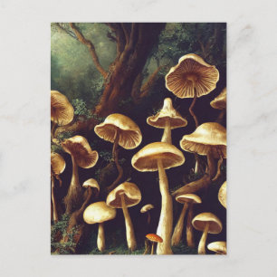 Briefkaart paddenstoelen
