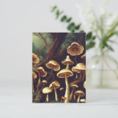 Briefkaart paddenstoelen (Staand voorkant)