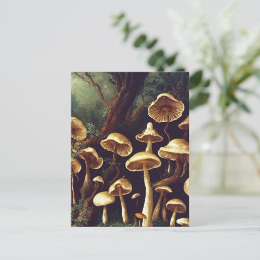 Briefkaart paddenstoelen (Staand voorkant)
