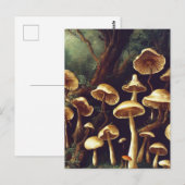 Briefkaart paddenstoelen (Voorkant / Achterkant)