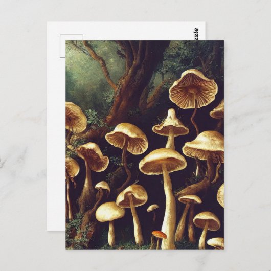 Briefkaart paddenstoelen (Voorkant / Achterkant)