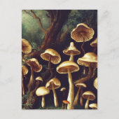 Briefkaart paddenstoelen (Voorkant)