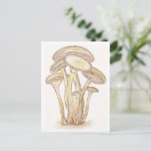 Briefkaart paddenstoelen (Staand voorkant)