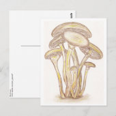 Briefkaart paddenstoelen (Voorkant / Achterkant)