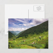 Briefkaart Paddy-velden van Nepal (Voorkant / Achterkant)