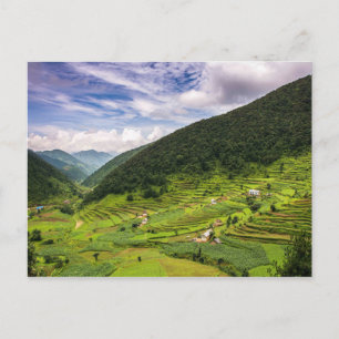 Briefkaart Paddy-velden van Nepal