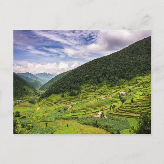 Briefkaart Paddy-velden van Nepal (Voorkant)