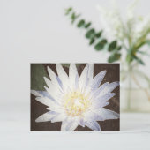 briefkaart "PAINTED LOTUS" (Staand voorkant)