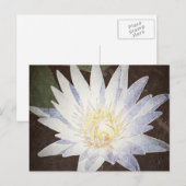 briefkaart "PAINTED LOTUS" (Voorkant / Achterkant)