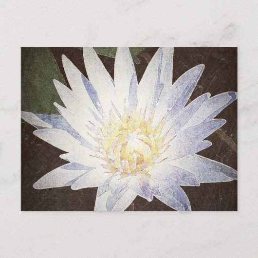 briefkaart "PAINTED LOTUS" (Voorkant)