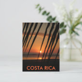 Briefkaart Palm Sunset, COSTA RICA (Staand voorkant)