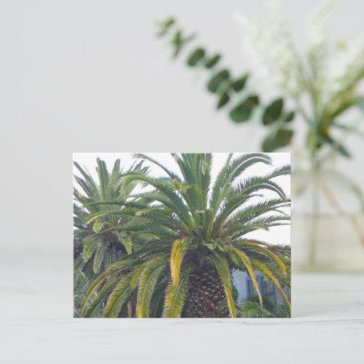 Briefkaart Palm Trees (Staand voorkant)
