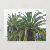 Briefkaart Palm Trees (Voorkant / Achterkant)