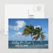 Briefkaart palmbomen (Voorkant / Achterkant)