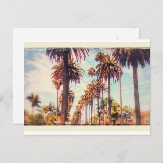 Briefkaart  palmboom (Voorkant / Achterkant)