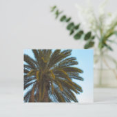 briefkaart palmboom (Staand voorkant)