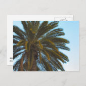 briefkaart palmboom (Voorkant / Achterkant)