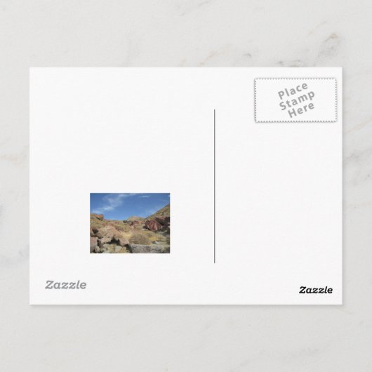 Briefkaart palmveren (Achterkant)