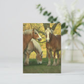 Briefkaart Palomino Draft Horses (Staand voorkant)