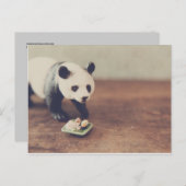 Briefkaart Panda en Sushi (Voorkant / Achterkant)