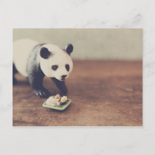 Briefkaart Panda en Sushi