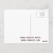 Briefkaart Panda San Diego Zoo (Achterkant)