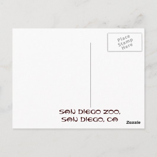 Briefkaart Panda San Diego Zoo (Achterkant)