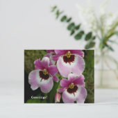 Briefkaart - Pansy Orchid (Staand voorkant)