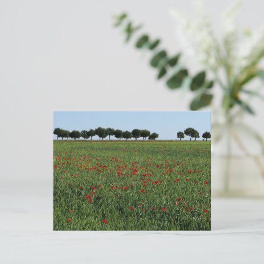 Briefkaart papaver (Staand voorkant)