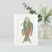 briefkaart "PARROTFISH" (Staand voorkant)