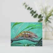 briefkaart "Parson's Chameleon" (Staand voorkant)