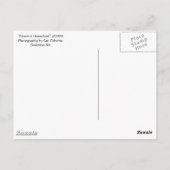 briefkaart "Parson's Chameleon" (Achterkant)