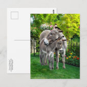 briefkaart "Pasen en Baby" (Voorkant / Achterkant)