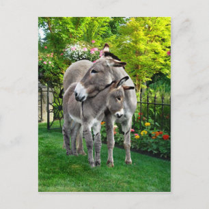 briefkaart "Pasen en Baby"