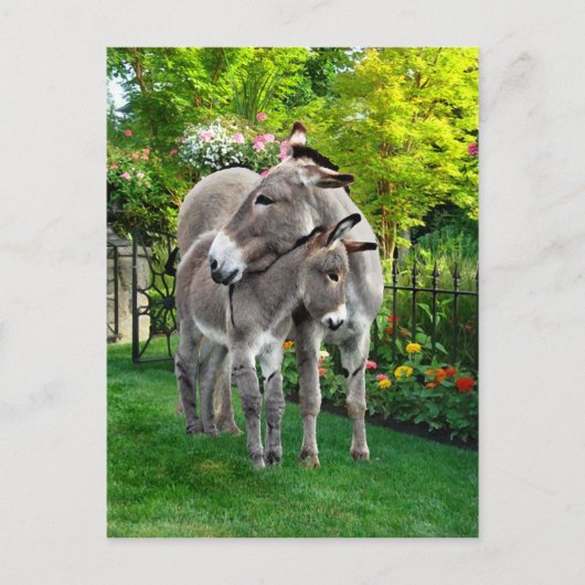 briefkaart "Pasen en Baby" (Voorkant)