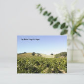 Briefkaart: Paso Robles Vineyard in augustus Briefkaart (Staand voorkant)