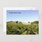 Briefkaart: Paso Robles Vineyard in augustus Briefkaart (Voorkant / Achterkant)